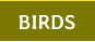 The birds of Pine Brook Wetlands
